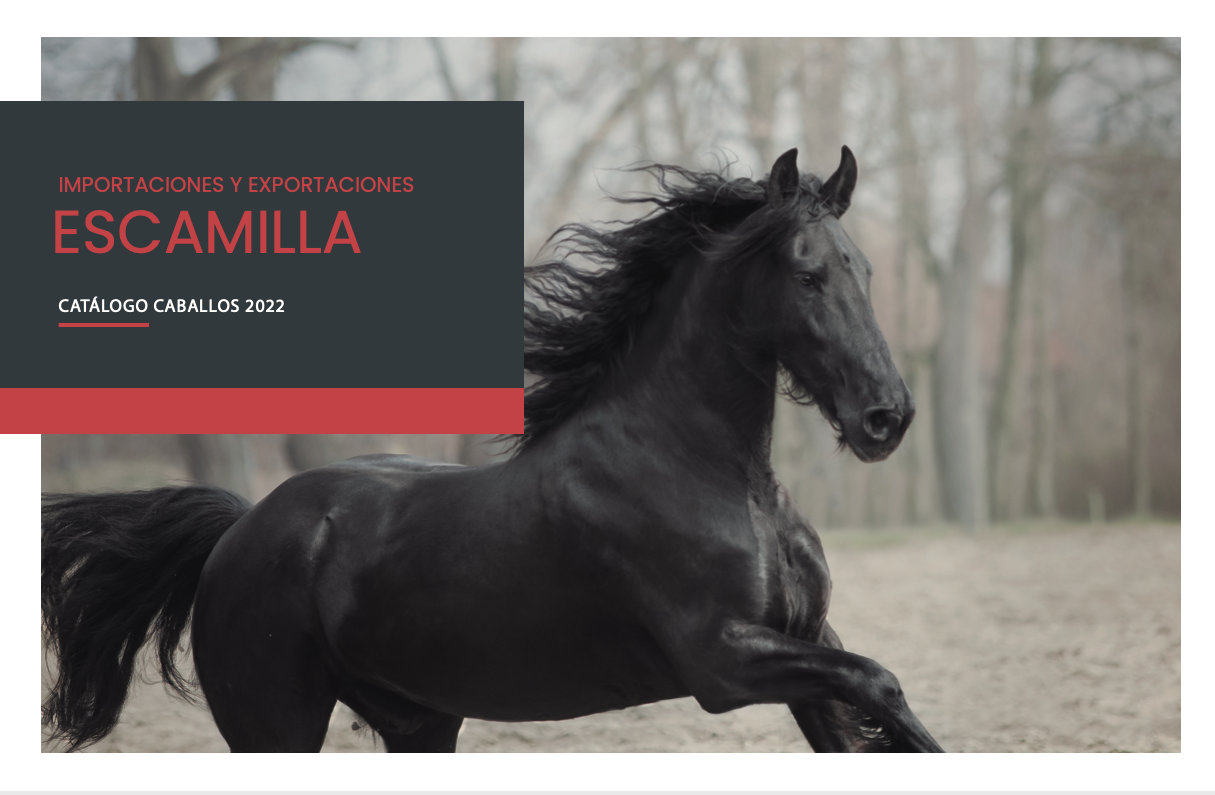 Catálogo de caballos